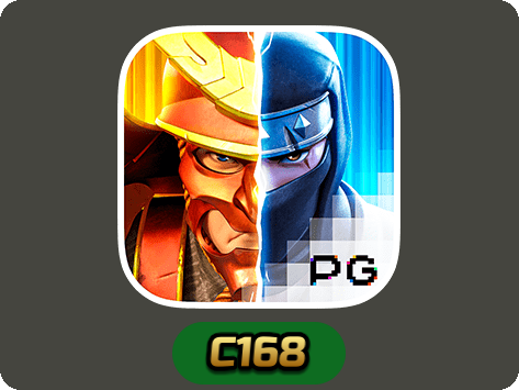 Ninja vs Samurai