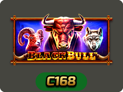 Black Bull